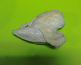 しっとり食感☆鶏むね肉とわけぎのぬた作り方4写真