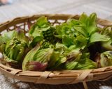 色のきれいなフキ味噌作り方1写真