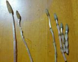 つくし卵とじ～母の味～作り方1写真
