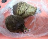 チーズを入れて里芋コロッケ作り方1写真