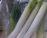 長ネギしゃきしゃき保存法作り方3写真
