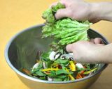 森林鶏ササミスモークのトスサラダ作り方1写真