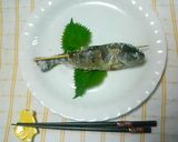 ヤマメの塩焼き作り方4写真