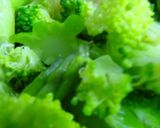 鶏胸肉とお野菜の胡麻和え作り方2写真