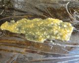 魚の味噌漬け☆西京焼き＜ぶり・むつ・鮭＞作り方3写真