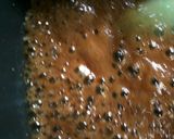 カリカリ小魚!ごまめの代わりにも◎作り方5写真