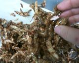 カリカリ小魚!ごまめの代わりにも◎作り方9写真