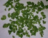 面倒な乾燥ﾊﾟｾﾘ作りを少し簡単に♪作り方6写真
