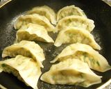 白菜たっぷり焼き餃子作り方8写真