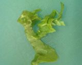 わが家のズボラサラダ作り方2写真