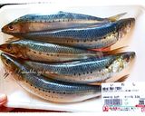 鰯のみりん干し。作り方2写真