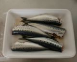 いわしの煮つけシソ風味作り方1写真