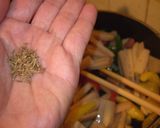 アジア♪蓮根のにんにくクミンきんぴら作り方6写真