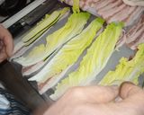 本格！簡単！豚バラと白菜の蒸ロール作り方1写真