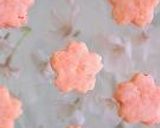 レシピ･インデックス（Sweets編）作り方23写真