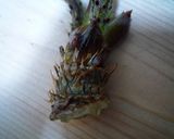 タラの芽天ぷら　ヴィーガン　京都カフェ作り方3写真