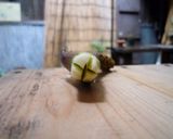 タラの芽天ぷら　ヴィーガン　京都カフェ作り方6写真