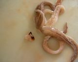 初心者向け☆イカの下処理☆作り方9写真