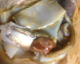 イカとなめこと春菊のとろり湯豆腐　作り方1写真