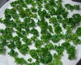 ドライパセリの作り方♪茎はスープ用に冷凍作り方4写真