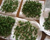 ドライパセリの作り方♪茎はスープ用に冷凍作り方5写真