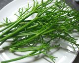ドライパセリの作り方♪茎はスープ用に冷凍作り方7写真