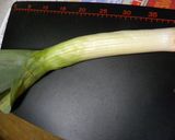 リーキ（ポロ葱）のグラタン作り方1写真