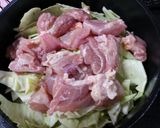 簡単♪鶏肉とキャベツのコンソメ煮作り方2写真