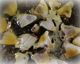 かつおのたたきの鰹節煮作り方5写真