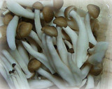 青梗菜としめじとベーコンの煮作り方4写真