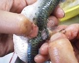 糸こんにゃくで☆いわしの変わり煮作り方4写真