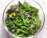 変わり者のサラダ作り方8写真