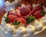 スポンジケーキ〜シフォン仕立て〜作り方26写真