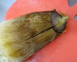 米ぬかが無い時の筍のゆで方作り方1写真