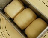 黒糖山食 自家製酵母作り方4写真