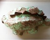 恐竜ケーキ ステゴザウルス作り方10写真