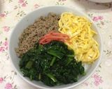 三色ごはん…大人用〜(o˘◡˘o) ♡作り方13写真