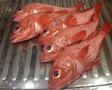 キンキの煮付け 5人前作り方1写真