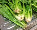 キンキの煮付け 5人前作り方4写真