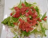豆腐のサラダ作り方1写真