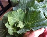 沖縄風コールスロー（勝手に命名）作り方1写真