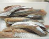 愛知の魚100選　マイワシの酢じめ作り方5写真