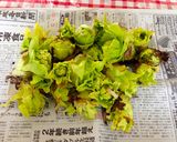【十勝一年生】ふきのとうの納豆和え作り方2写真