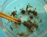 醤油麹納豆作り方3写真
