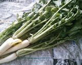 大根葉の炒めもの作り方1写真