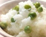 ぷっくり♪豆ご飯 (グリンピースご飯)作り方6写真