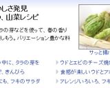 ウドとアボカドの塩麹マリネ作り方7写真