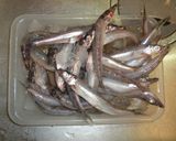 愛知の魚100選　ニギスのバター焼作り方1写真