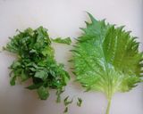 【簡単一品】たこしそ【手速く一品】作り方3写真