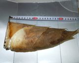 具>ご飯。筍蓮根ゴボウキノコ鶏肉人参ご飯作り方1写真